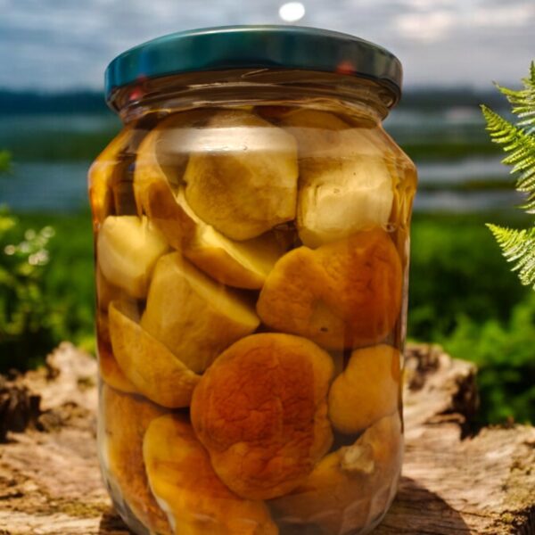 00144 Borowik szlachetny w zalewie octowej 750 ML