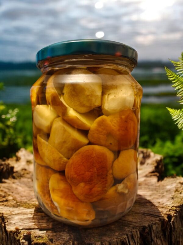 00144 Borowik szlachetny w zalewie octowej 750 ML
