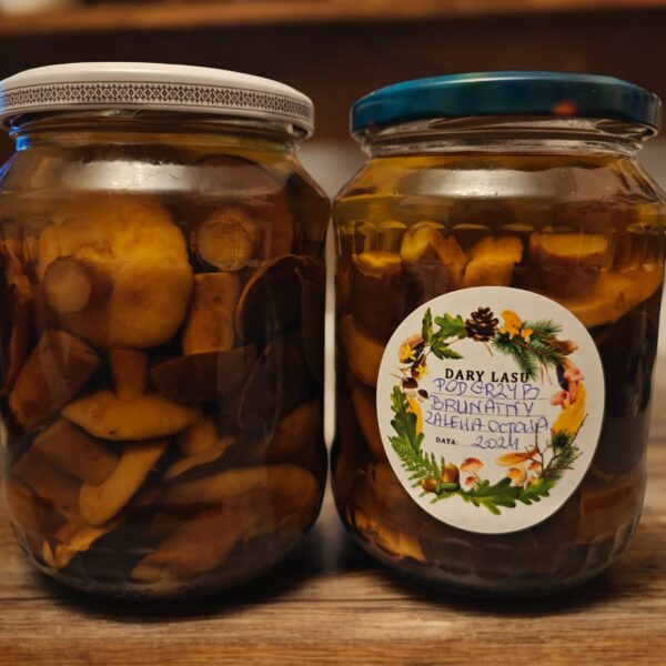 00147 Podgrzyb brunatny w zalewie octowej 500 ML