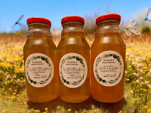 00151 Syrop z kwiatów czarnego bzu 330 ML