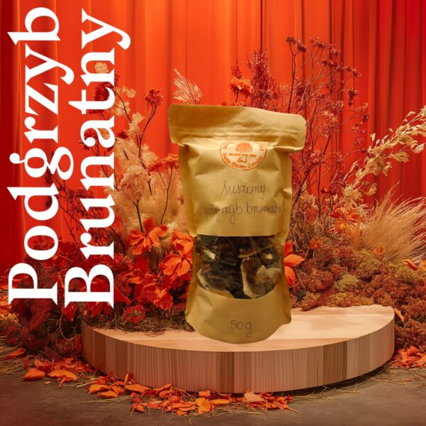 000172 Suszone podgrzyby brunatne 100g
